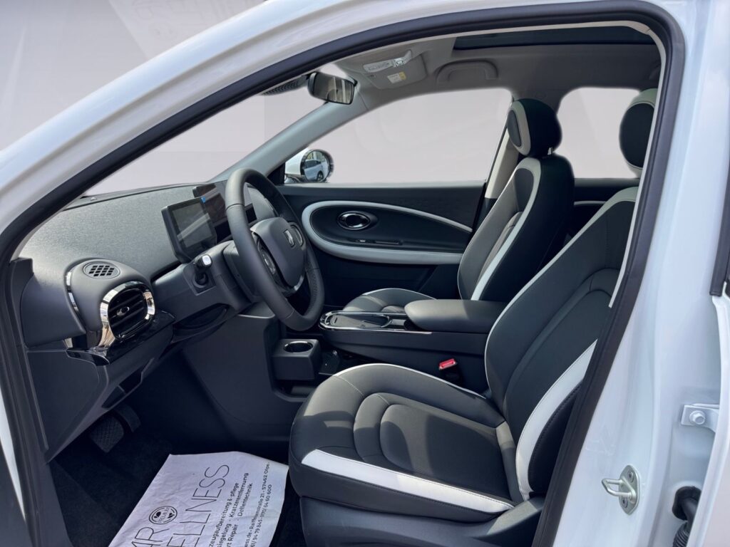 JAC E30X Nordic Edition 50, V2L, Pano, 5 Jahre Gar