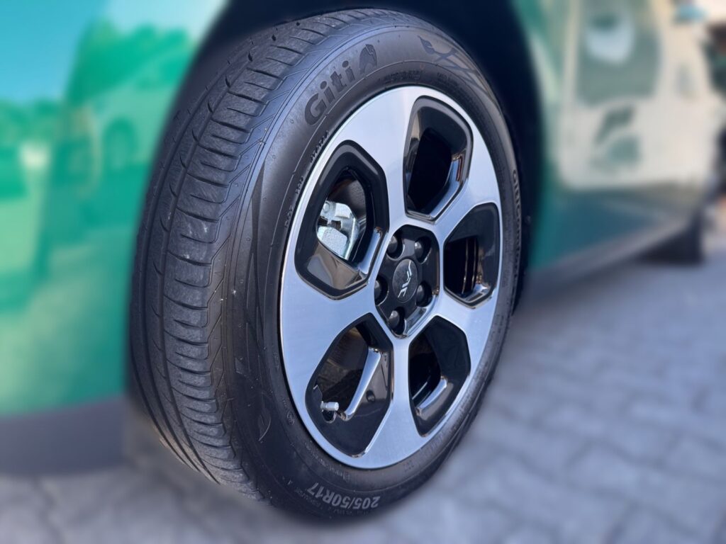 JAC E30X Nordic Edition 50, Pano, V2L, 5 Jahre Gar