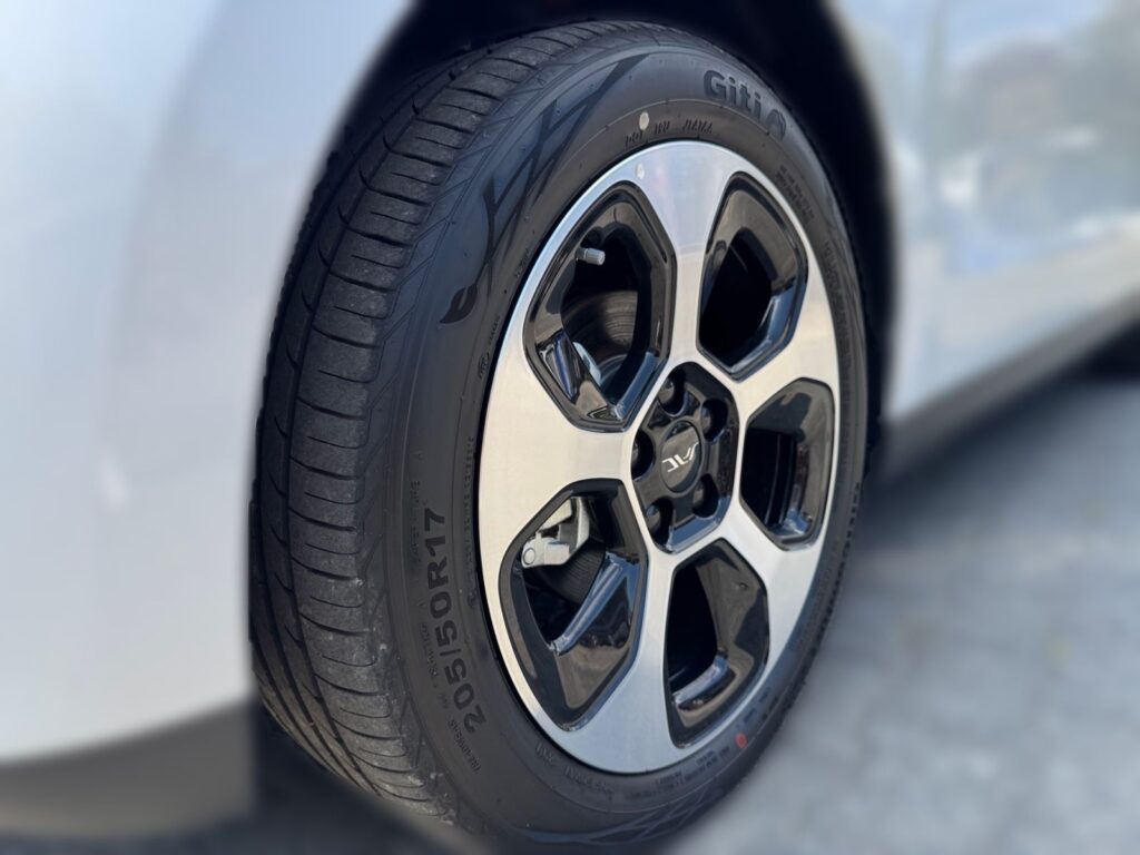 JAC E30X Nordic Edition 50, V2L, Pano, 5 Jahre Gar