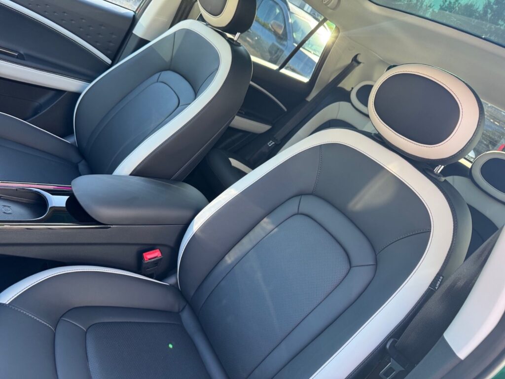 JAC E30X Nordic Edition 50, Pano, V2L, 5 Jahre Gar