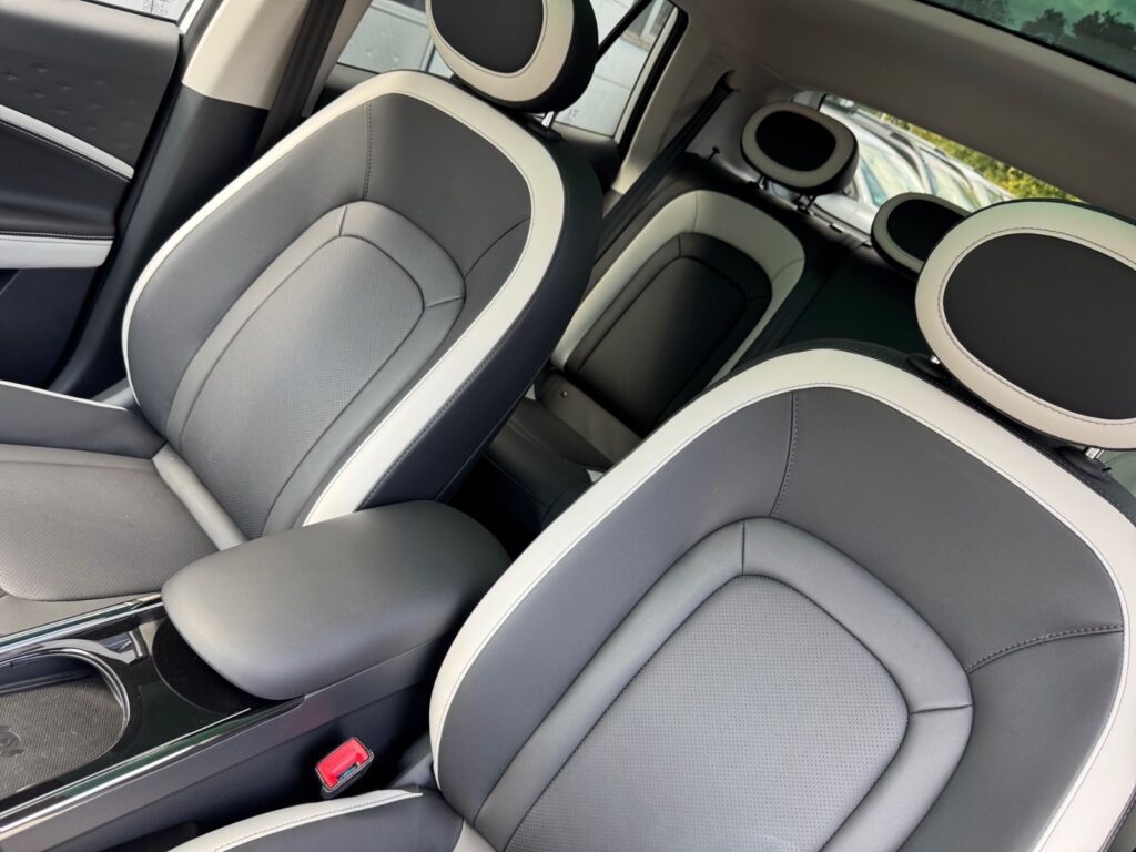 JAC E30X Nordic Edition 50, V2L, Pano, 5 Jahre Gar