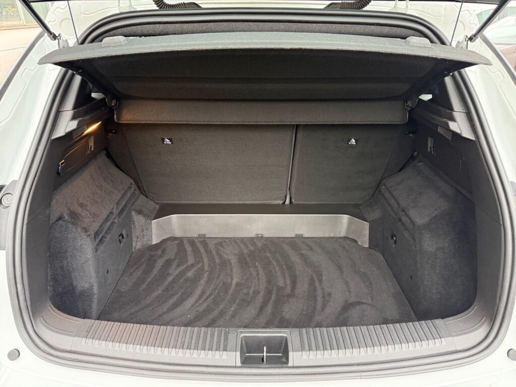 RENAULT Austral Evolution, Ganzjahresreifen, Kamera