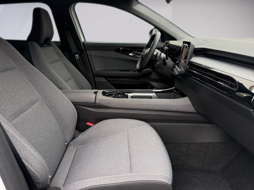 RENAULT Austral Evolution, Ganzjahresreifen, Kamera